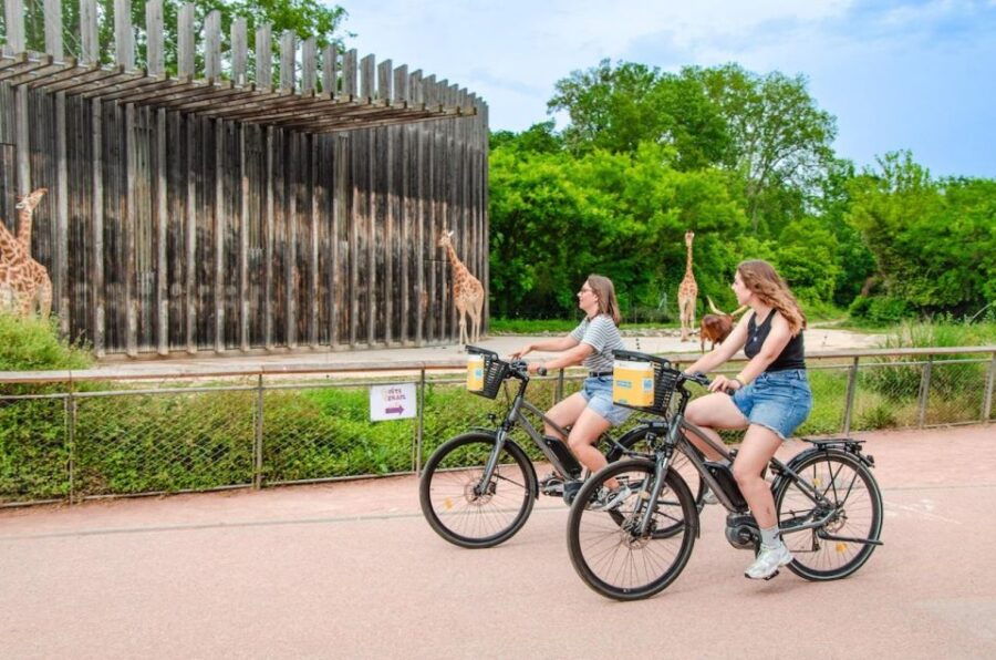 Rent a Ebike for a Half-Day (-4h) - Good To Know