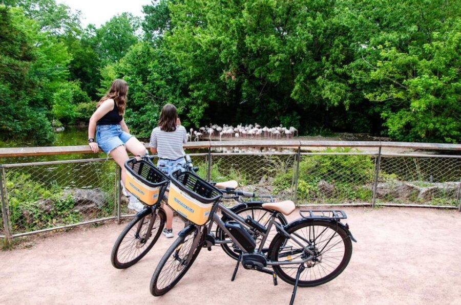 Rental E-Bike for a Day (4h)