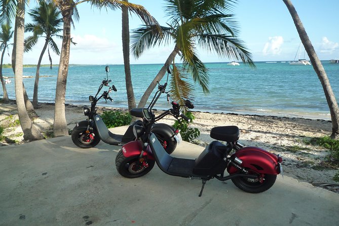 Rental of Electric Scooters