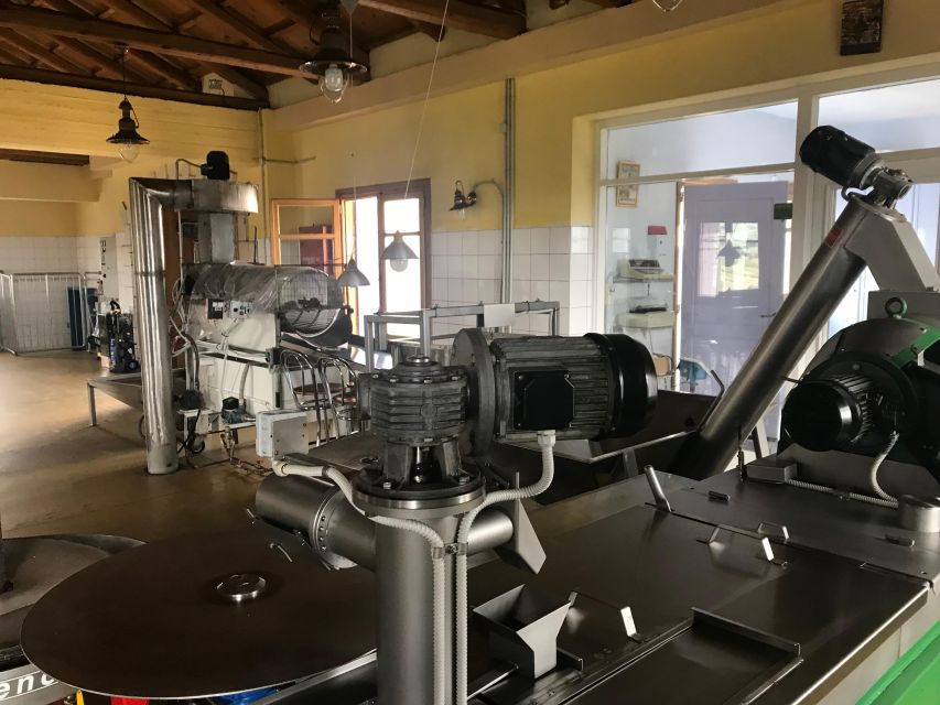 Rethimno: Private Wine and Olive Oil Tasting Tour & Lunch