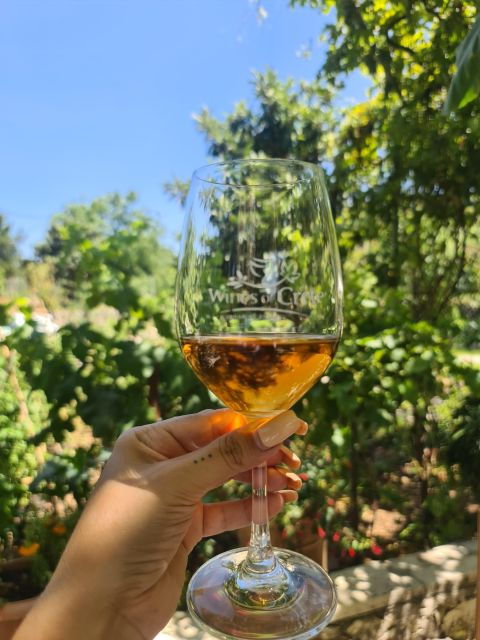 Rethymno Half Day Wine Tasting-Olive Oil Factory-Kourna Lake