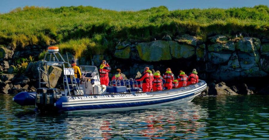 Reykjavik: Puffin Watching Tour - Good To Know