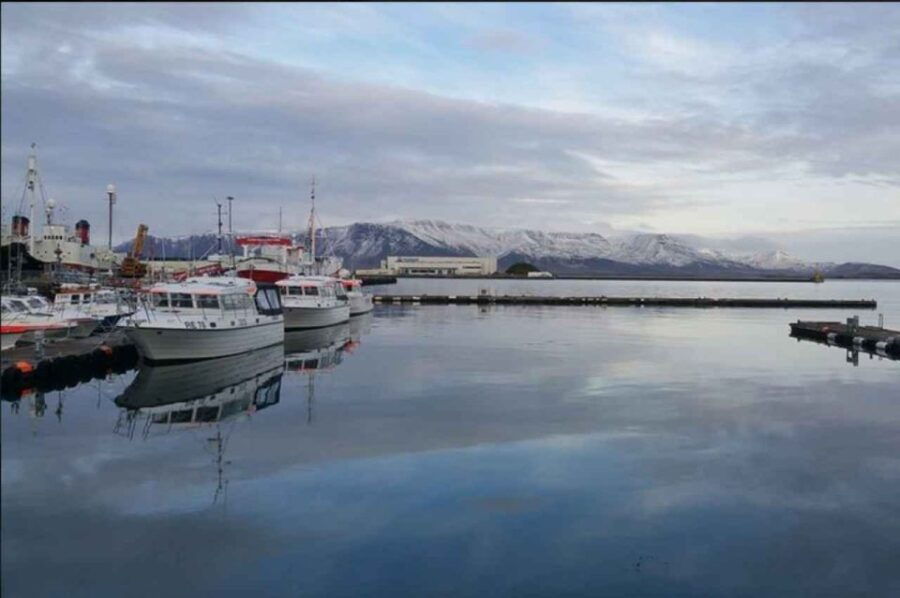 Reykjavik: Self-Guided Audio Walking Tour - Good To Know