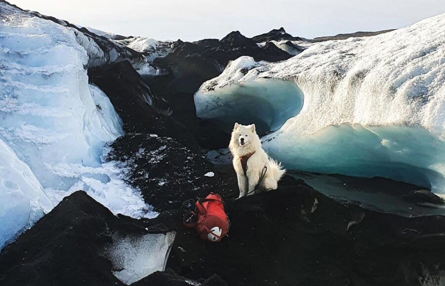 Reykjavik/Sólheimajökull: Glacier Hiking & Ice Climbing Trip - Good To Know