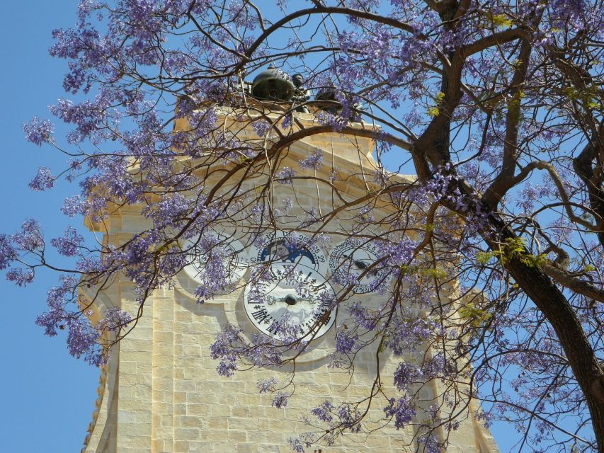 Rhodes: Old Town Private Walking Tour With an Expert Guide - Good To Know