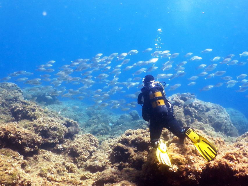 Rhodes: Scuba Diving Tour for Experienced and Beginners