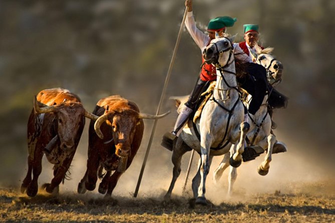 RIBATEJO - ALL INCLUDED, One Day Trip in Salvaterra De Magos and Escaroupim Tour - Good To Know