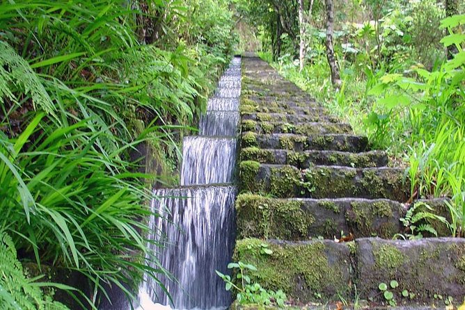 Ribeiro Frio - Portela (Full Day Walk)