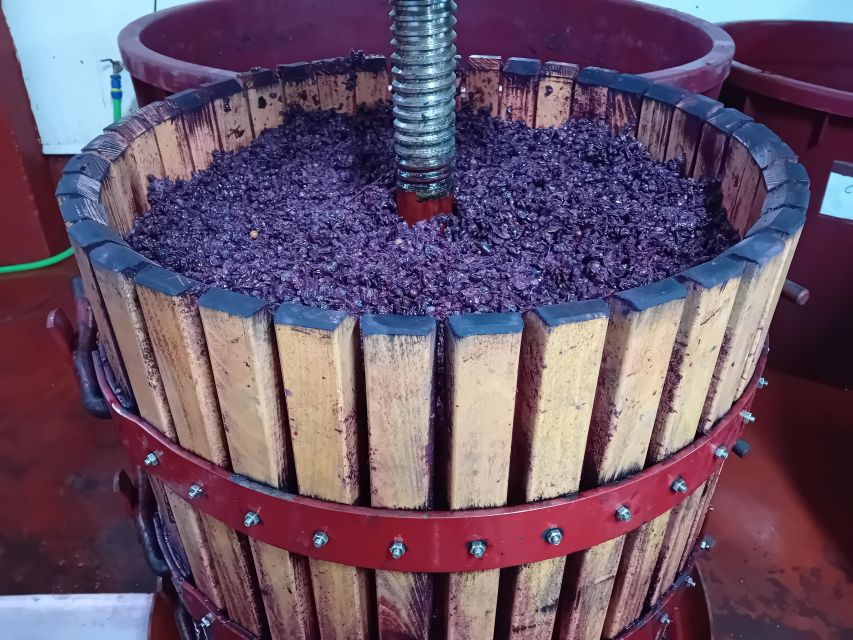 Ribera Del Duero: 1 Day Wine Tour in English - Good To Know