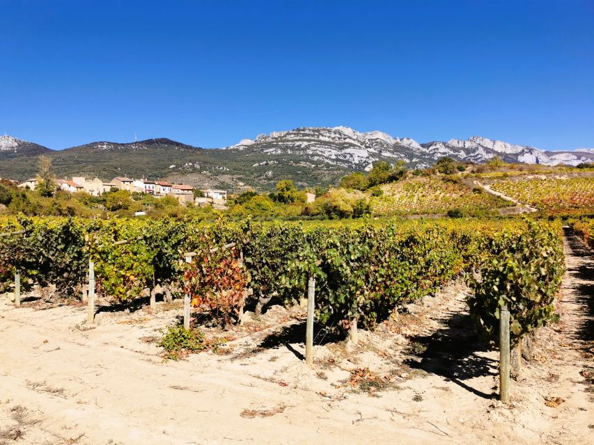 Ribera Del Duero 2 Wineries Tour With Winemaker Guide - Good To Know