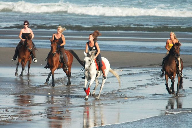 Riding a Horse to Enjoy the Extremely Black Sand Beach - Good To Know
