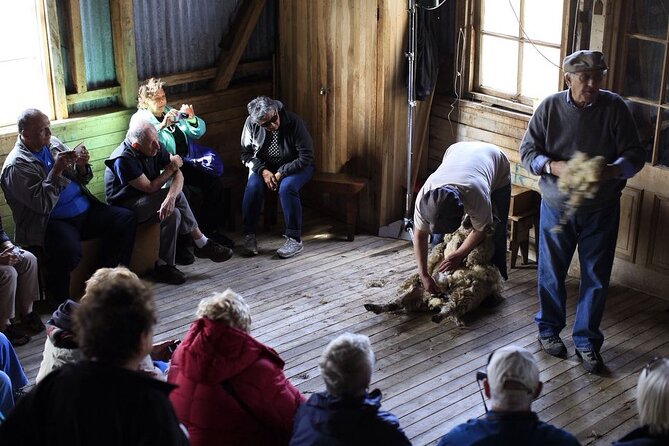 Riesco Island Ranch: A Memorable Tour Experience