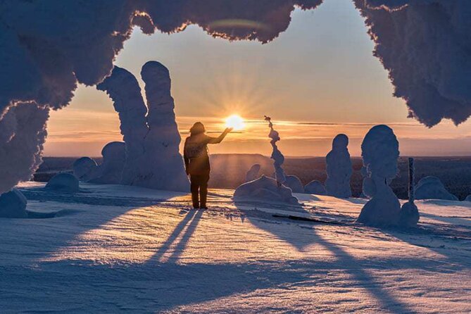 Riisitunturi National Park: Full-Day Wilderness Hike Tour & BBQ - Good To Know