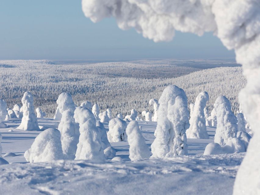 Riisitunturi National Park: Wilderness Expedition & Barbeque
