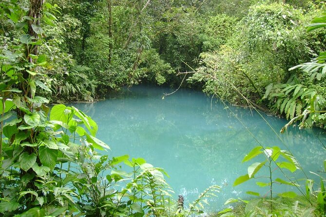 Rio Celeste Waterfall Hike From Arenal