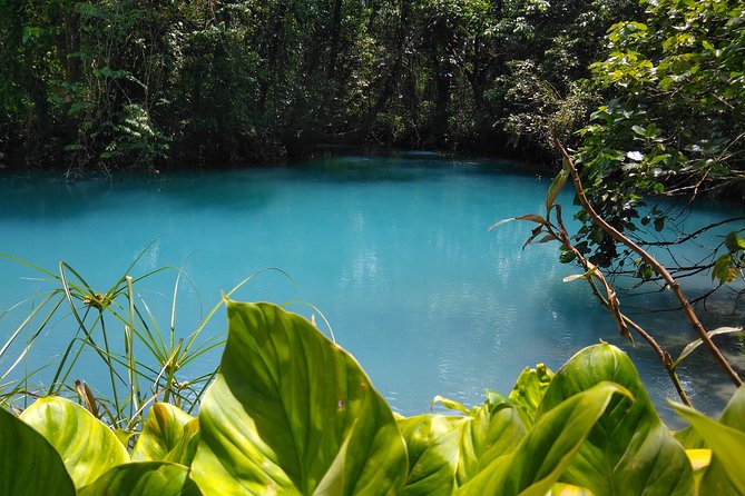 Rio Celeste Waterfall & Sloth Encounter Tour in the Rain Forest of Costa Rica