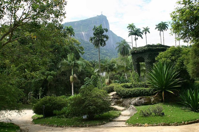 Rio De Janeiro Botanical Garden Tour - Good To Know