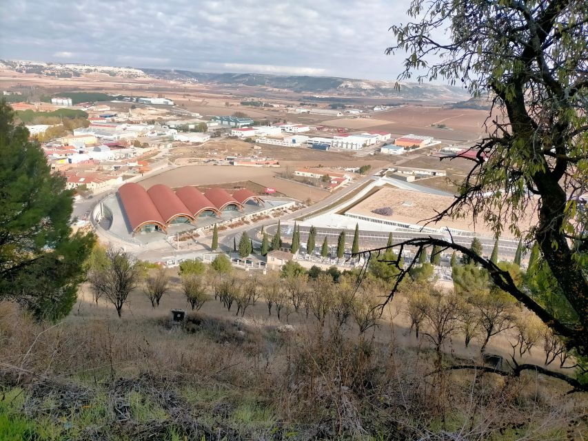 Rioja: Tour of 3 Wineries in English