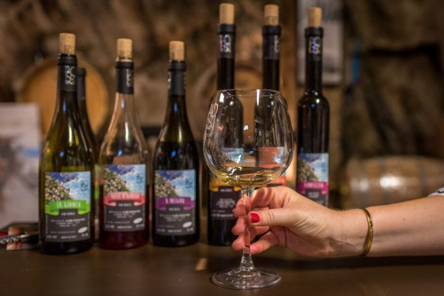 Riomaggiore: Vineyard & Wine Cellar Tour With Wine Tasting