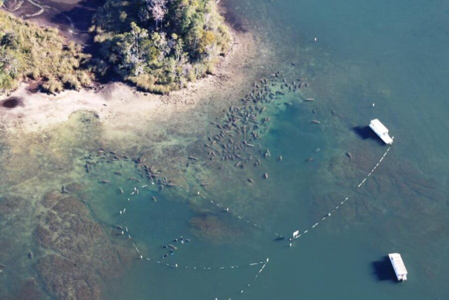 River Cruise With Manatee Viewing - Booking Flexibility