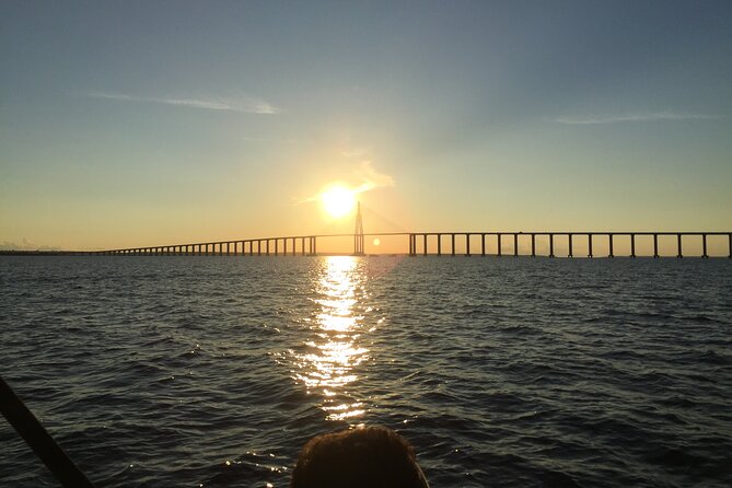 River Day Tour From Manaus