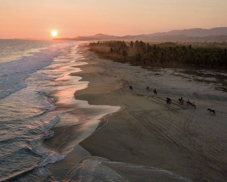 River, Ocean & Sunset Horse Riding Tour - Good To Know