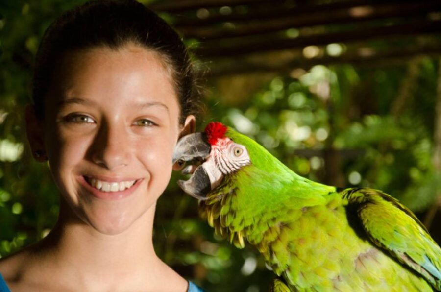 Riviera Maya: Croco Cun Interactive Zoo Tour