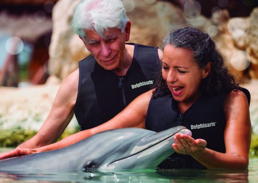 Riviera Maya Dolphin Connection: Dolphin Beyond Connection - Good To Know