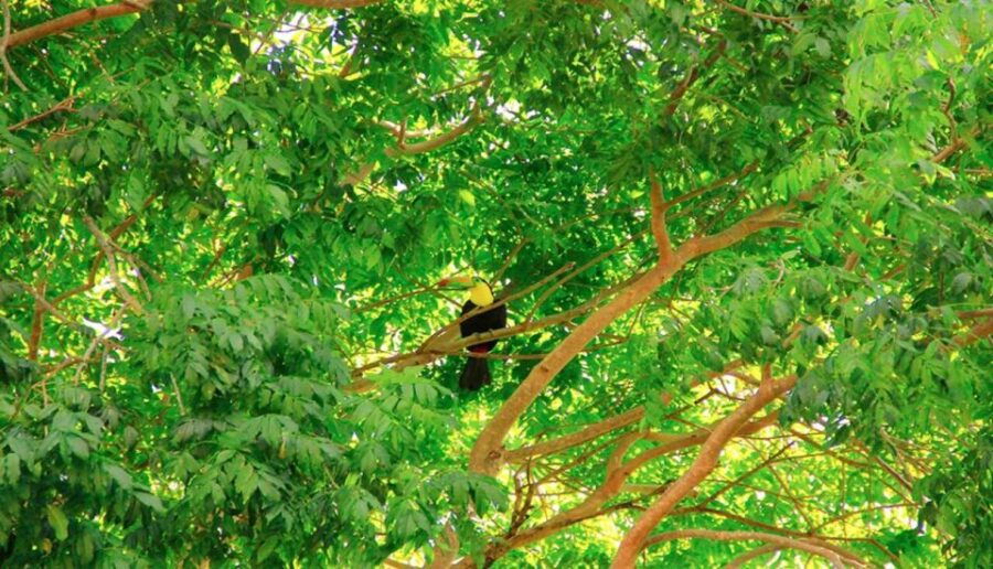 Riviera Maya: Horseback Riding at Rancho Bonanza - Good To Know