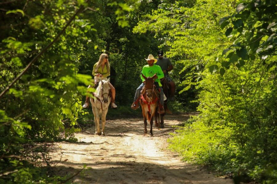 Riviera Nayarit: Horseback Ride and ATV Ride