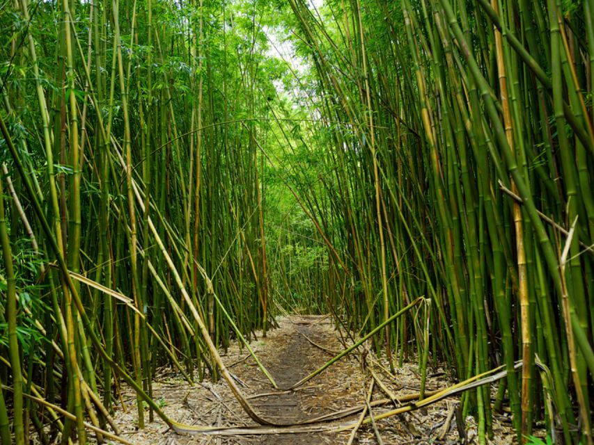 Road To Hana: Self-Guided Audio Tour