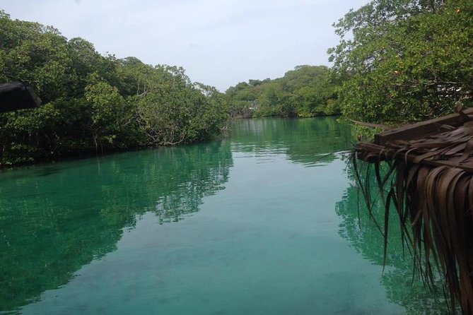 Roatan City-to-Nature Private Tour (Feb )