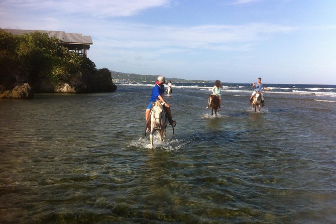 Roatan Excursion: Horseback Ride / Plus Sloth Park and Beach Break - Experience Description