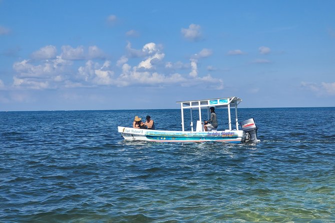 Roatan Excursion: Horseback Ride / Sloths Park / Snorkel With Beach Break - Tour Details and Pricing