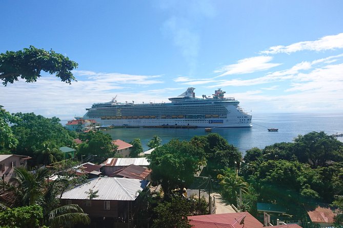 Roatan Island Tour & Daniel Johnsons Monkey and Sloth Hangout Tour - Good To Know