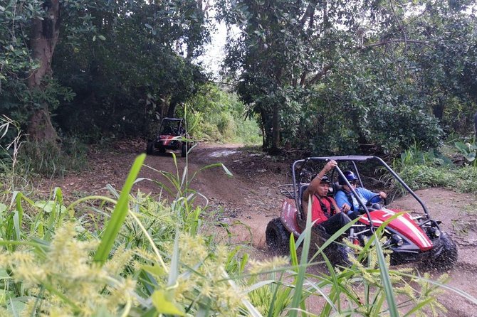 Roatan Private Tour With Sloths, Jungle ATV, and Private Beach (Feb ) - Tour Overview