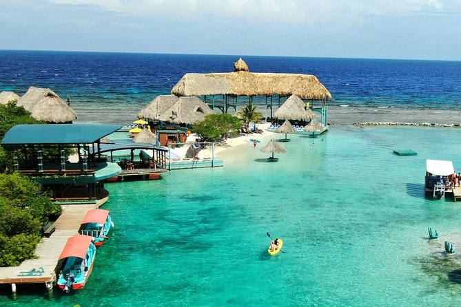 Roatan Shore Excursion: Kayak Harbor Adventure and Reef Snorkel - Good To Know