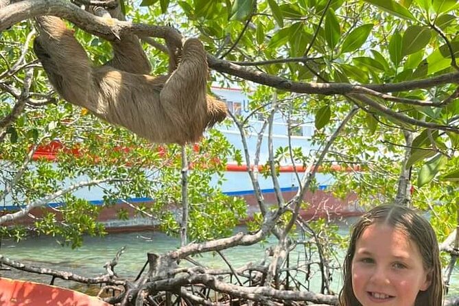 Roatan Zipline and Hiking Half-Day Small-Group Adventure - Good To Know