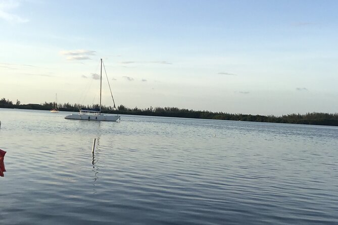 Rose Hall Great House, Bob Marley Nine Mile and Luminous Lagoon From Montego Bay - Good To Know