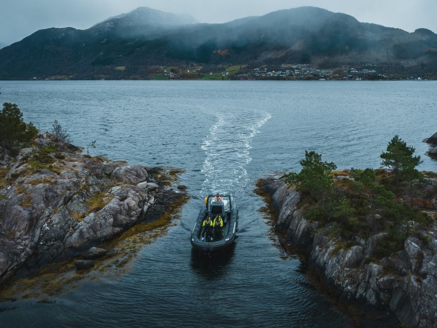 Rosendal Majesty: Exclusive RIB Adventure in Hardangerfjord - Good To Know