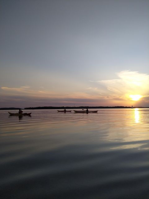Roskilde: Guided Kayaking on Roskilde Fjord: Sunset Tour - Good To Know