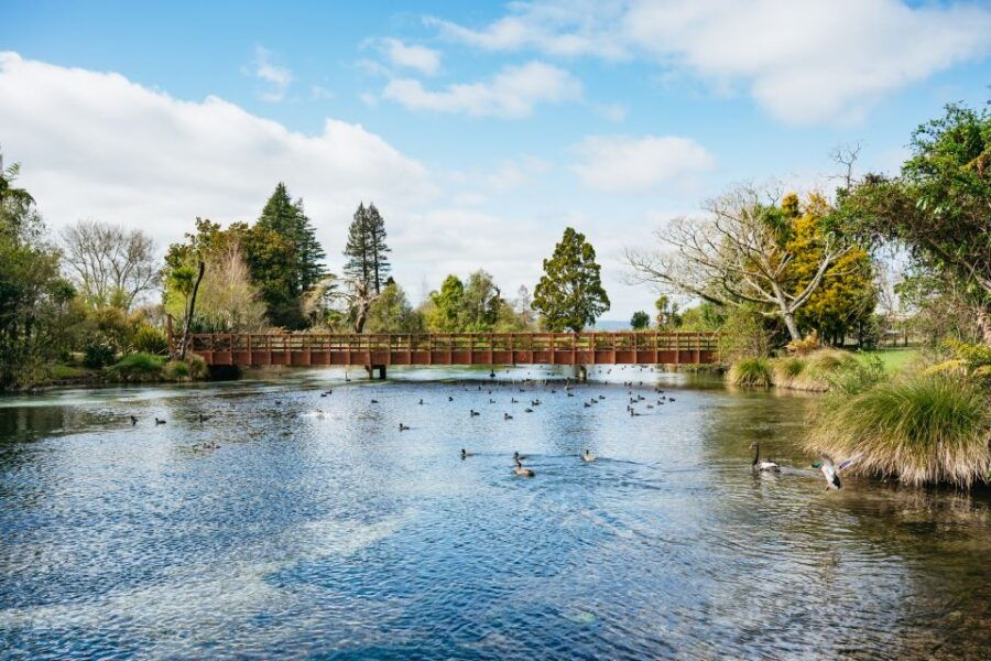 Rotorua: Explore The Lakes Half-Day Morning Tour - Good To Know