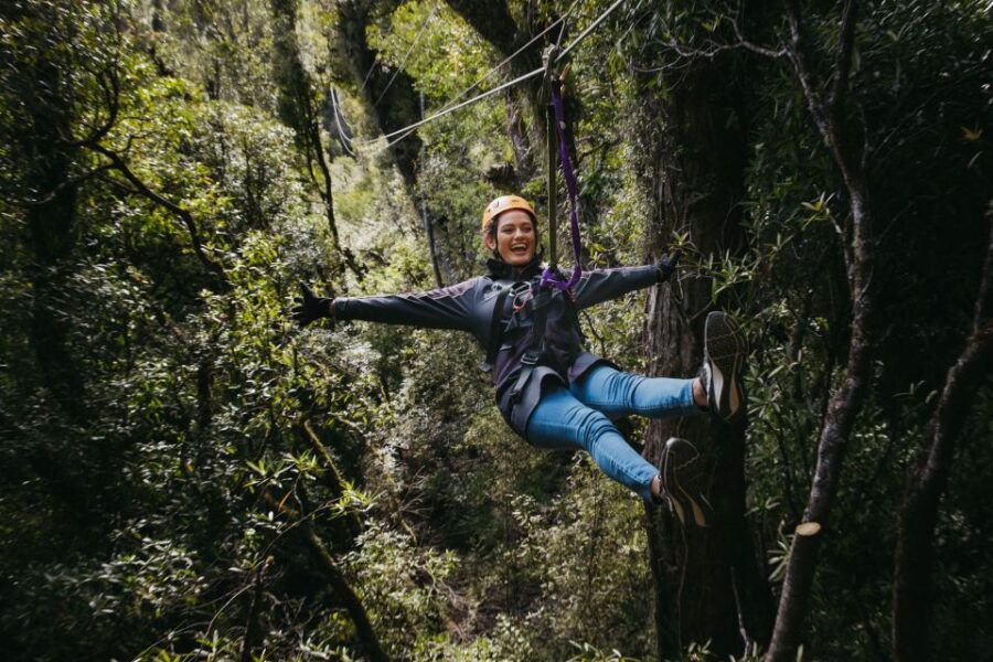 Rotorua: Guided Zipline Adventure Tour With Photos - Good To Know