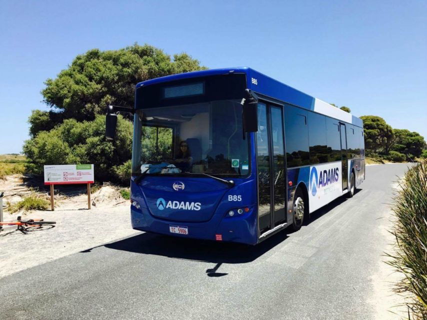 Rottnest Grand Island Package With Ferry, Tour & Light Lunch - Good To Know