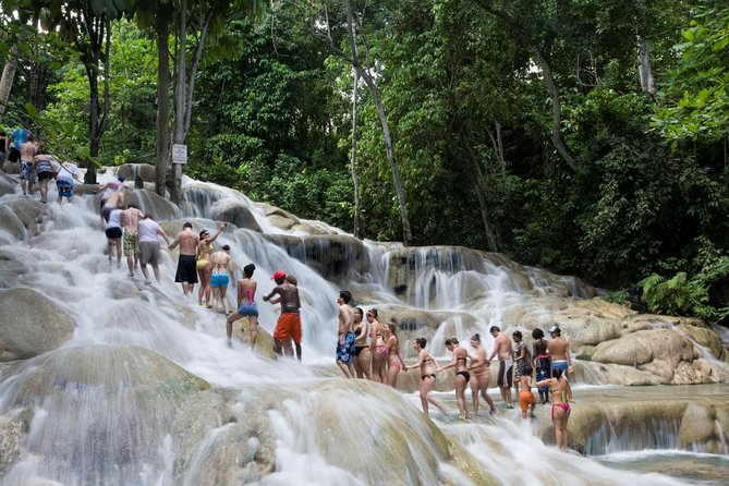 Round-Trip Shuttle Transportation to Dunns River Falls From Montego Bay - Good To Know