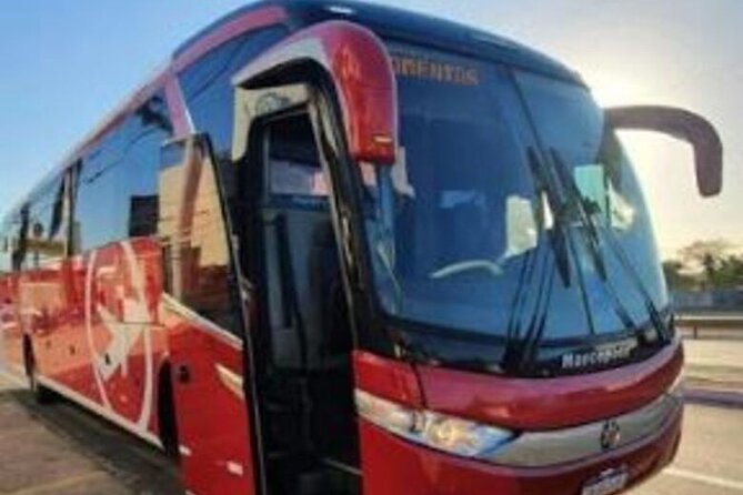20 Best Private Driver Services In Fortaleza