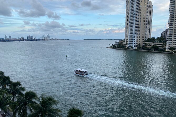 Roundtrip Water Taxi and Big Bus Tour to South Beach - Good To Know
