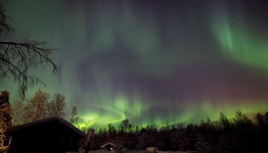 Rovaniemi: Apukka Reindeer Sleigh Safari at Night