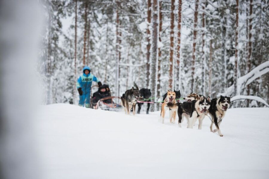 Rovaniemi: Arctic Circle Highlights by Snowmobile