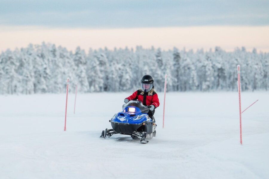 Rovaniemi: Arctic Fun With Huskies and Reindeers